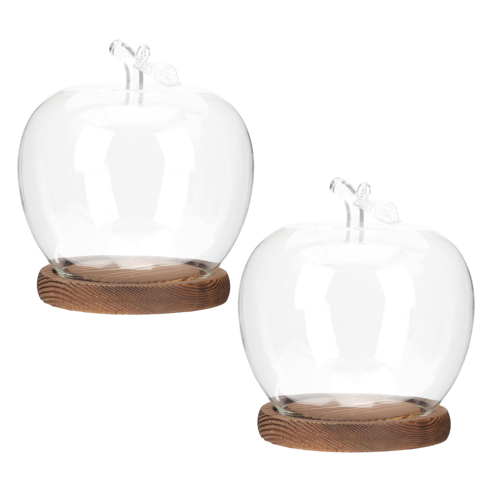 Plastic Dome Clear - 2Pcs Clear Glass Dome with Wooden