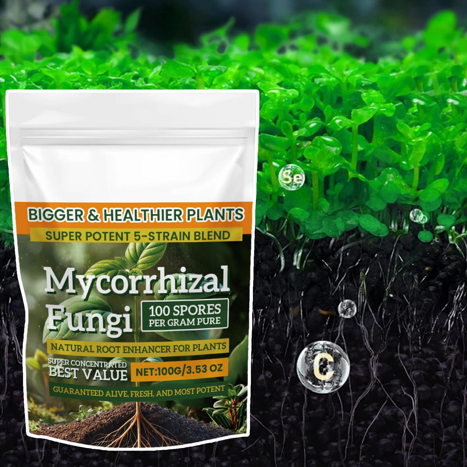100g Plant Nutrient Powder Pla - đánh giá và giá Rooting Hormone Powder