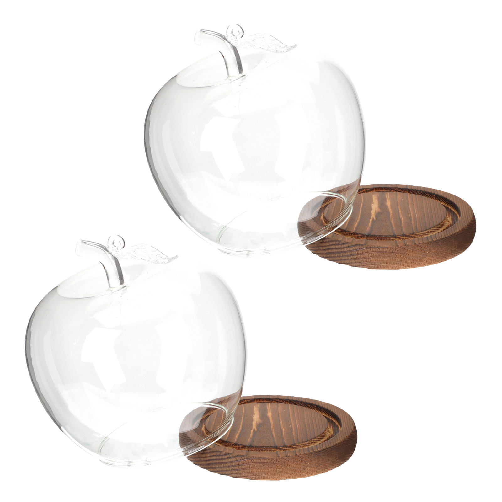 2Pcs Clear Glass Dome with Woo - đánh giá và giá Plastic Dome Clear