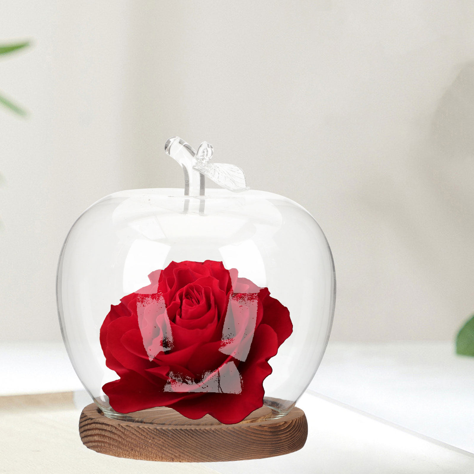 2Pcs Clear Glass Dome with Woo - đánh giá và giá Plastic Dome Clear